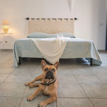 Tranquile Village Prem 2 Person Possible Extra Child-bed Apartment Palau
